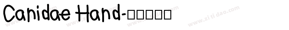 Canidae Hand字体转换